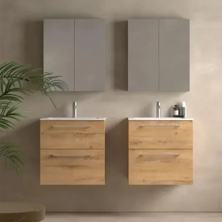MUEBLE BAÑO FONDO REDUCIDO SUSPENDIDO 60 CARMEN 2 CAJONES AVILA DOS